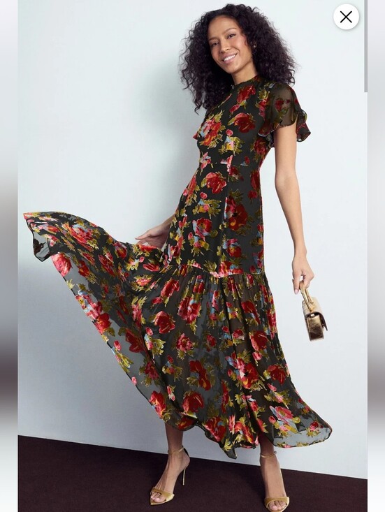 RIXO Dresses & Skirts - RIXO VELVET FLORAL GOWN SIZE 2 MSRP $675